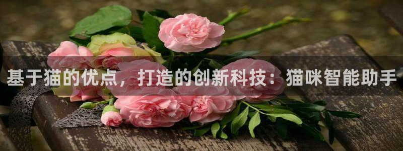 cq9电子平台下载：基于猫的优点，打造的创新科技：猫咪智能助