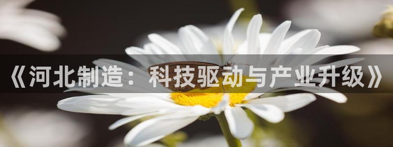 cq9电子压分：《河北制造：科技驱动与产业升级》
