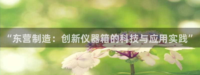cq9电子新闻资讯：“东营制造：创新仪器箱的科技与应用实践”