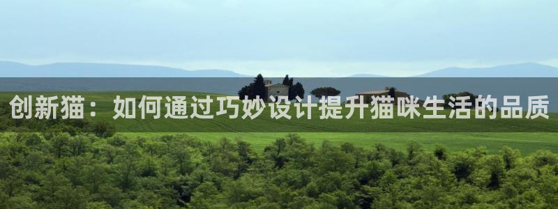 CQ9电子放cf66：创新猫：如何通过巧妙设计提升猫咪生活的
