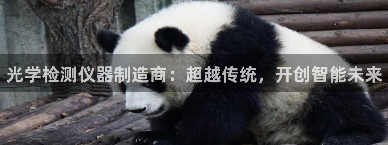 cq9电子赌城之夜：光学检测仪器制造商：超越传统，开创智能未