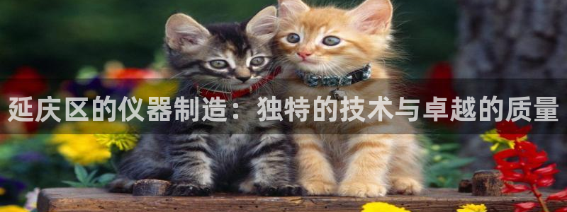 cq9传奇电子论坛：延庆区的仪器制造：独特的技术与卓越的质量