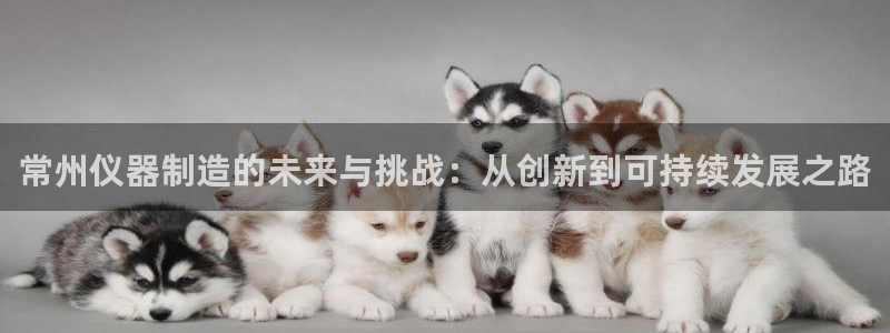cq9电子游戏囍：常州仪器制造的未来与挑战：从创新到可持续发