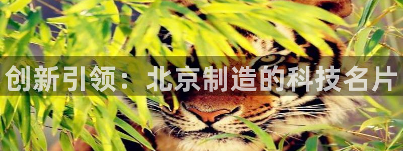电子 cq9：创新引领：北京制造的科技名片