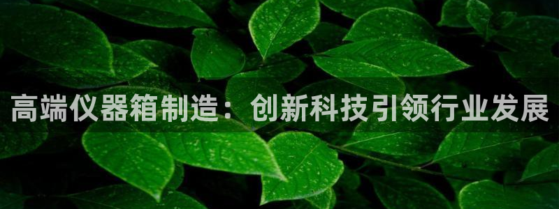 cq9电子都是横屏：高端仪器箱制造：创新科技引领行业发展