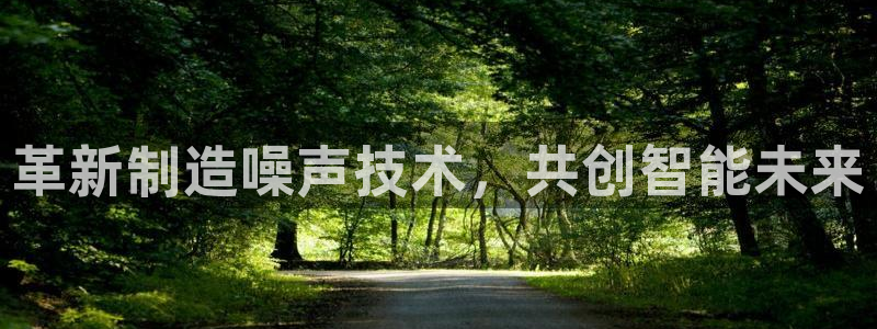 中国电子舞cq9：革新制造噪声技术，共创智能未来