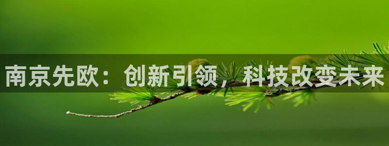 平台突然cq9电子维护：南京先欧：创新引领，科技改变未来