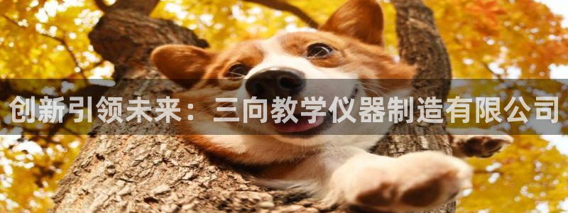 电子游戏传奇电子CQ9：创新引领未来：三向教学仪器制造有限公