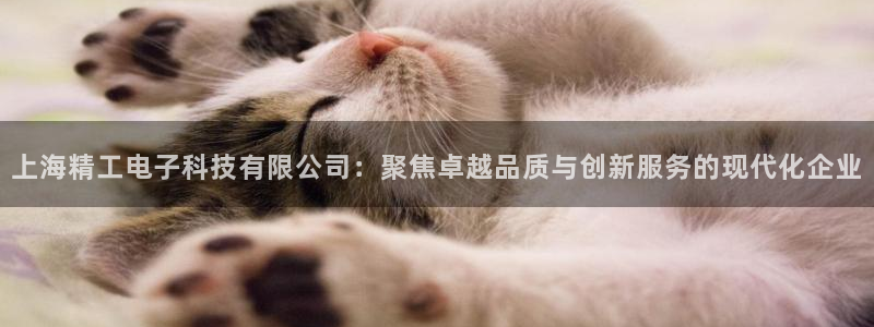cq9电子都有哪些：上海精工电子科技有限公司：聚焦卓越品质与