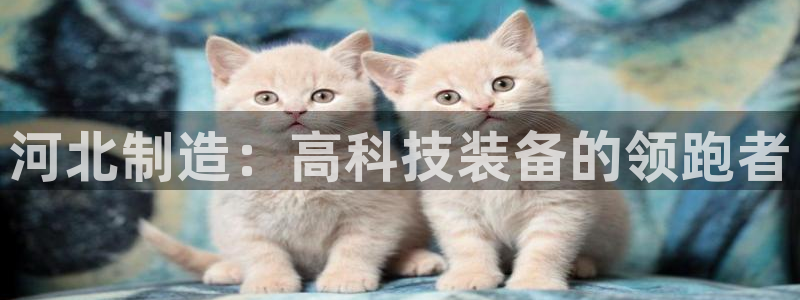 网赌cq9传奇电子：河北制造：高科技装备的领跑者