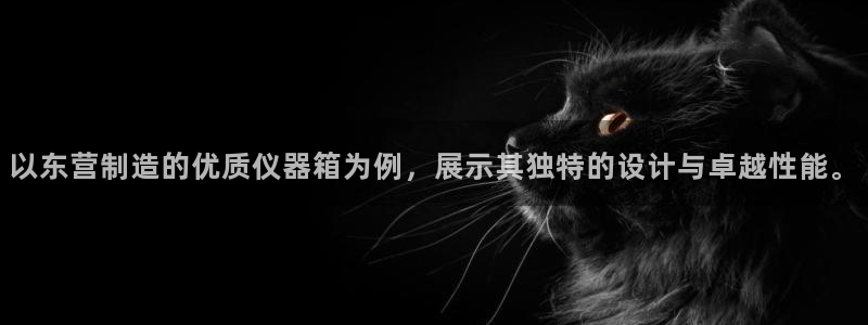 cq9电子厂：以东营制造的优质仪器箱为例，展示其独特的设计与