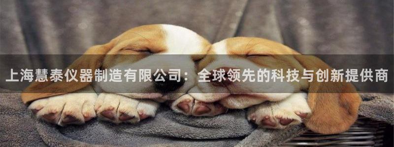 cq9电子平台软件下载：上海慧泰仪器制造有限公司：全球领先的