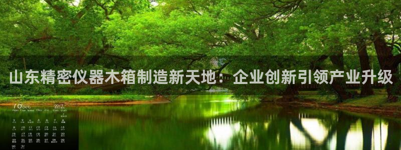 cq9电子游戏系统：山东精密仪器木箱制造新天地：企业创新引领
