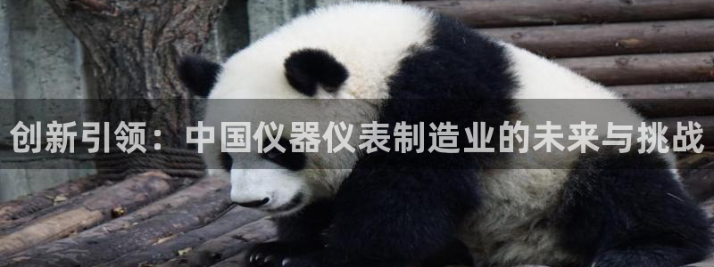 CQ9电子平台入c77：创新引领：中国仪器仪表制造业的未来与