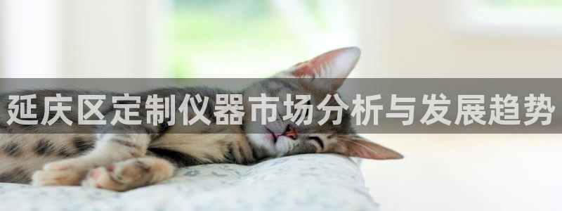 cq9电子跳高高规则：延庆区定制仪器市场分析与发展趋势