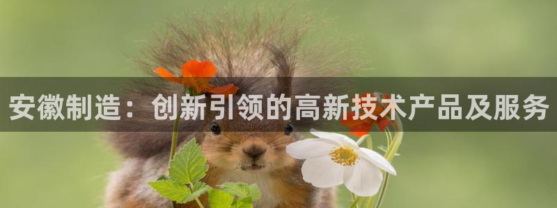 金沙电子cq9：安徽制造：创新引领的高新技术产品及服务