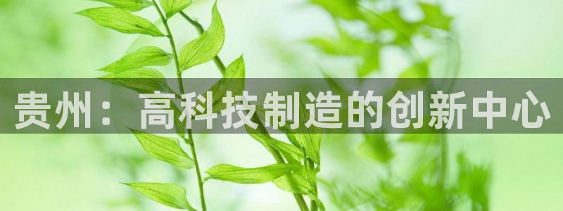电子cq9试玩：贵州：高科技制造的创新中心