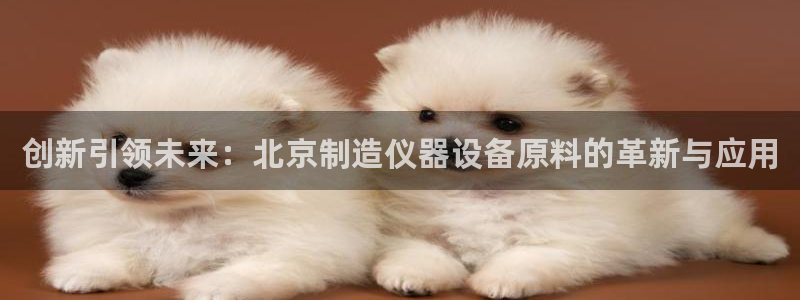 电子游戏cq9试玩：创新引领未来：北京制造仪器设备原料的革新