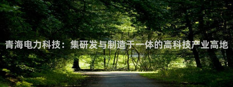 跳高高cq9电子：青海电力科技：集研发与制造于一体的高科技产