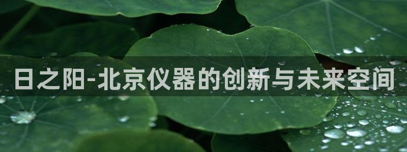 cq9电子论坛：日之阳-北京仪器的创新与未来空间