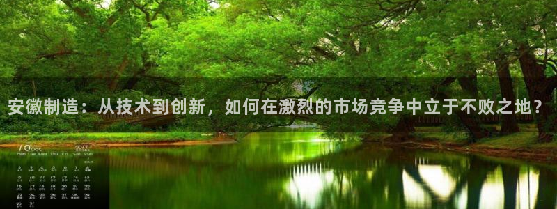 电子cq9佳佳：安徽制造：从技术到创新，如何在激烈的市场竞争