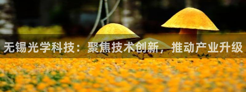 cq9电子卡免费：无锡光学科技：聚焦技术创新，推动产业升级