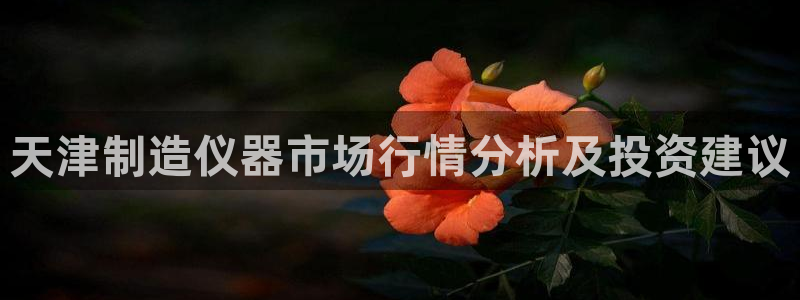cq9爆分电子：天津制造仪器市场行情分析及投资建议