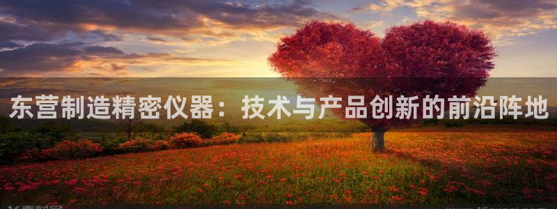 CQ9传奇电子如何获利：东营制造精密仪器：技术与产品创新的前