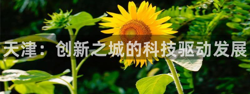 cq9宙斯电子下载：天津：创新之城的科技驱动发展