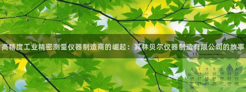 cq9电子官方入口：高精度工业精密测量仪器制造商的崛起：其林