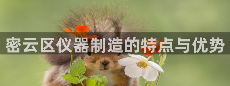 电子cq9狼月：密云区仪器制造的特点与优势