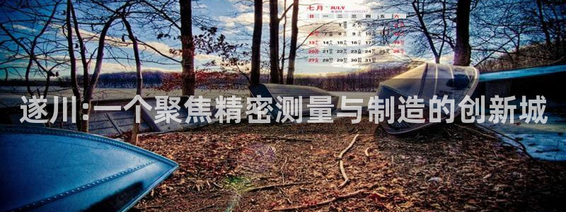 cq9电子游戏辅助：遂川:一个聚焦精密测量与制造的创新城