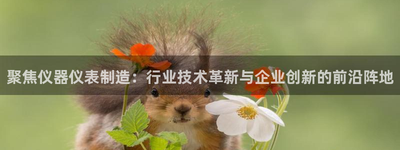 试玩cq9电子跳高高：聚焦仪器仪表制造：行业技术革新与企业创