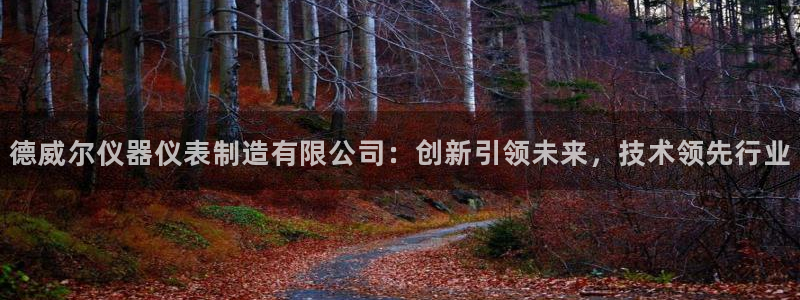 CQ9热门电子游戏：德威尔仪器仪表制造有限公司：创新引领未来
