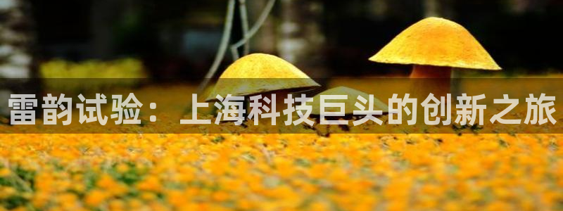 正规cq9电子平台：雷韵试验：上海科技巨头的创新之旅