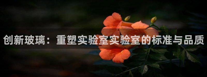 cq9电子官网：创新玻璃：重塑实验室实验室的标准与品质
