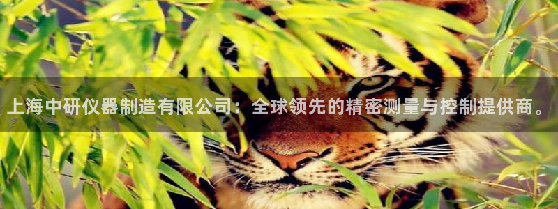 cq9电子单机版：上海中研仪器制造有限公司：全球领先的精密测