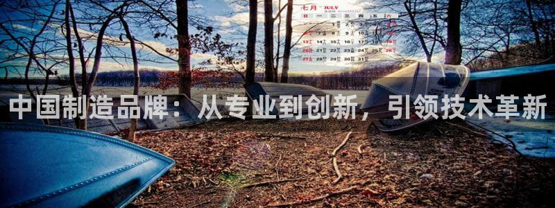 电子cq9财宝宫殿：中国制造品牌：从专业到创新，引领技术革新