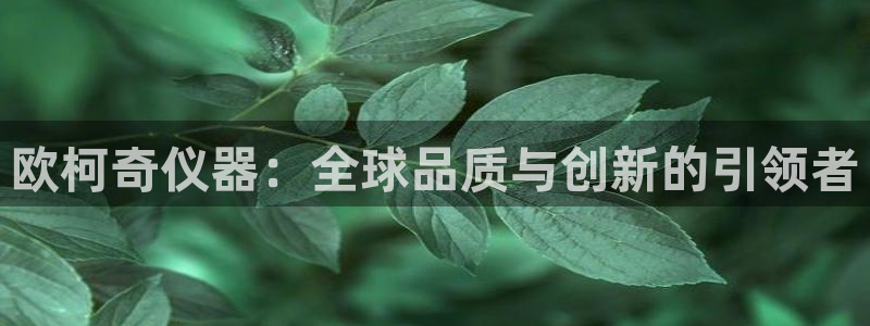 cq9电子巨星：欧柯奇仪器：全球品质与创新的引领者