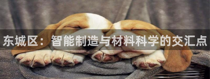 cq9电子转盘：东城区：智能制造与材料科学的交汇点
