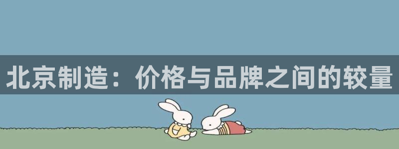 cq9传奇电子维护过后：北京制造：价格与品牌之间的较量