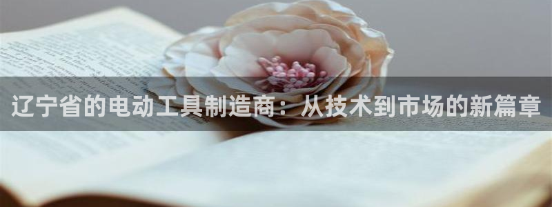 永利cq9电子：辽宁省的电动工具制造商：从技术到市场的新篇章