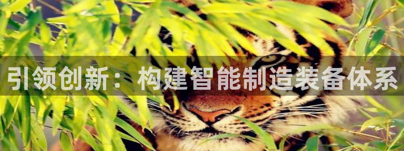 CQ9传奇电子大奖截图：引领创新：构建智能制造装备体系