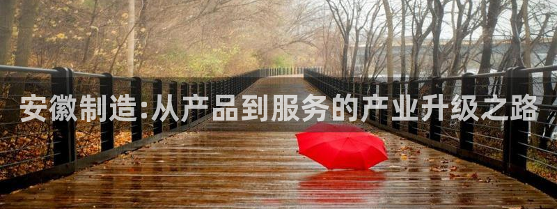 cq9电子五形拳：安徽制造:从产品到服务的产业升级之路