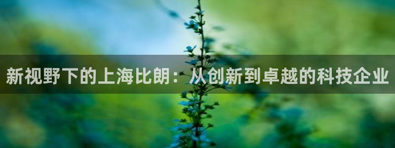 cq9电子火之女神：新视野下的上海比朗：从创新到卓越的科技企