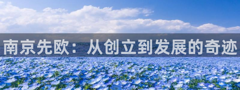 开设情况cq9电子智能：南京先欧：从创立到发展的奇迹