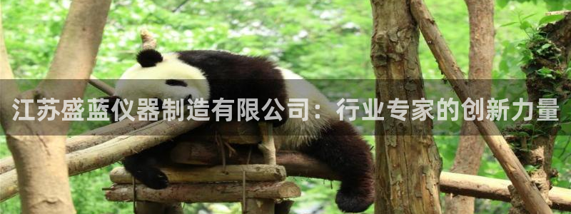 cq9电子这市集绝了：江苏盛蓝仪器制造有限公司：行业专家的创