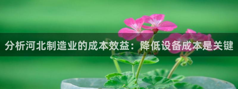 Cq9的电子图：分析河北制造业的成本效益：降低设备成本是关键
