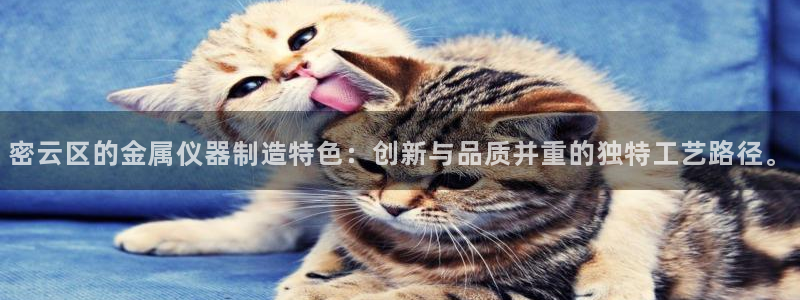 cq9电子平台秤厂家：密云区的金属仪器制造特色：创新与品质并