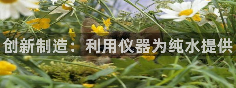 cq9电子转盘